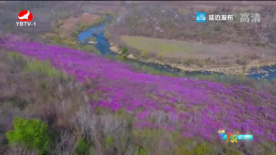 최적의 관광명소 연변2019-05-23