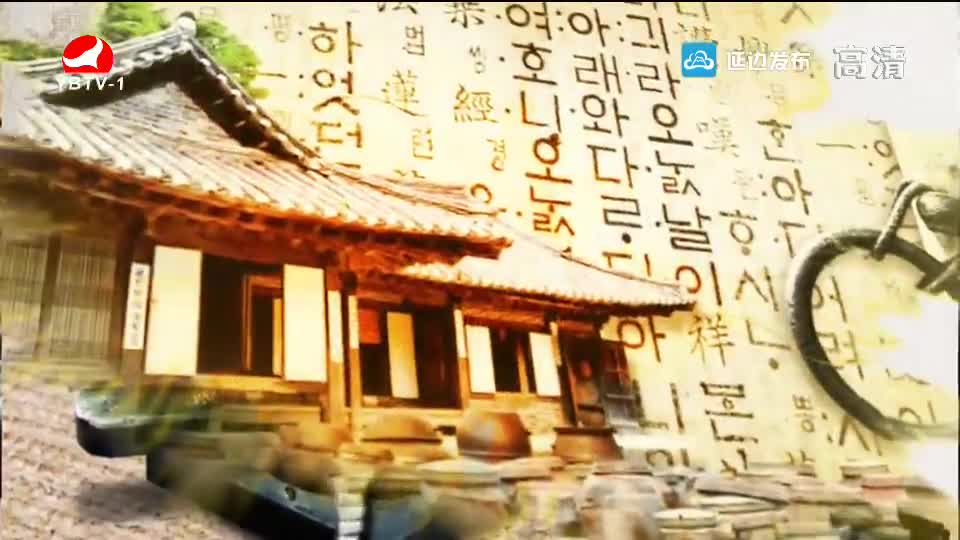 TV문화를 품다2019-05-24