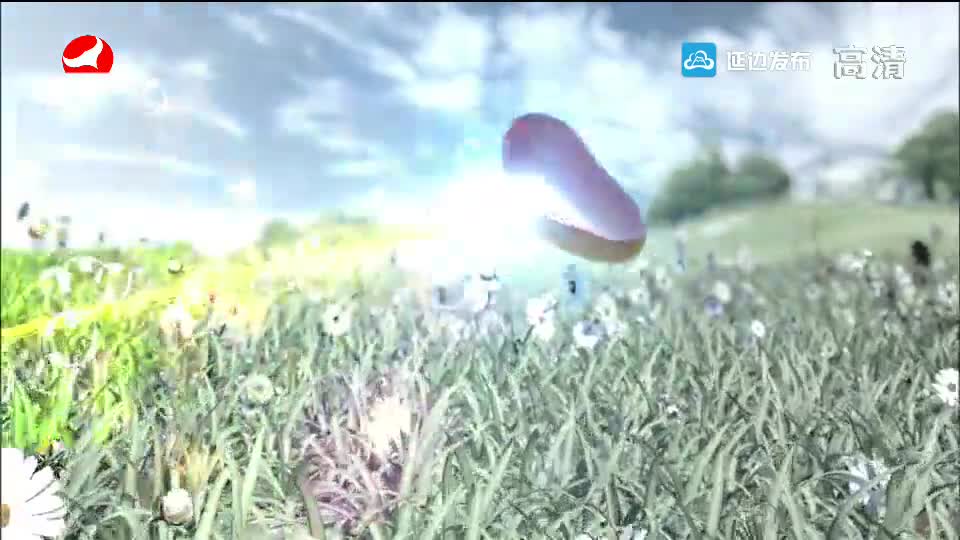 사랑으로 가는 길 2019-08-31