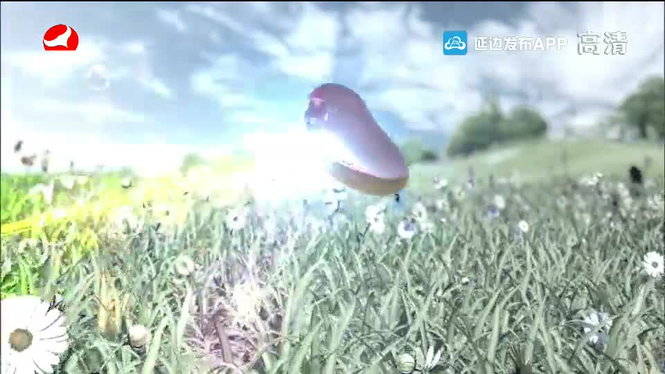 사랑으로 가는 길 2019-10-26
