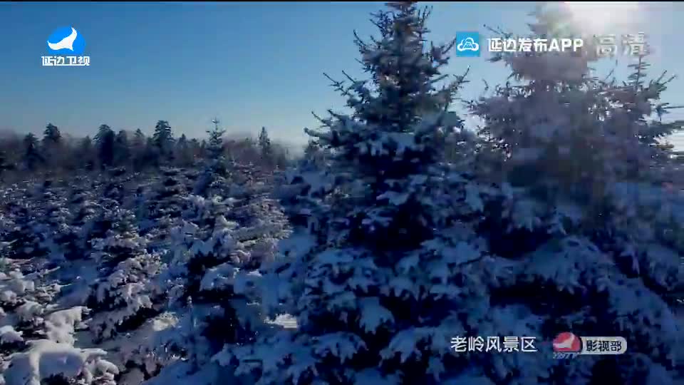 국내외 뉴스 2020-01-12