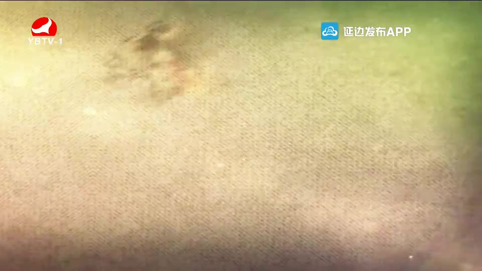 요청한마당 2020-02-09