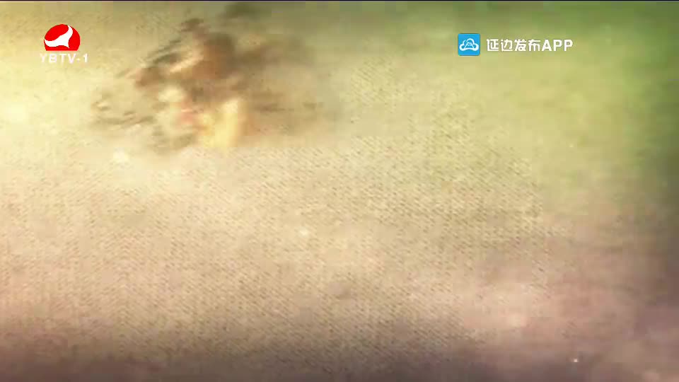 요청한마당 2020-04-26