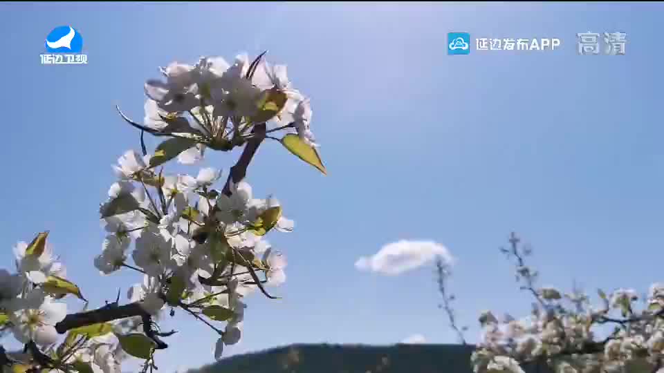 신주 2020-05-27