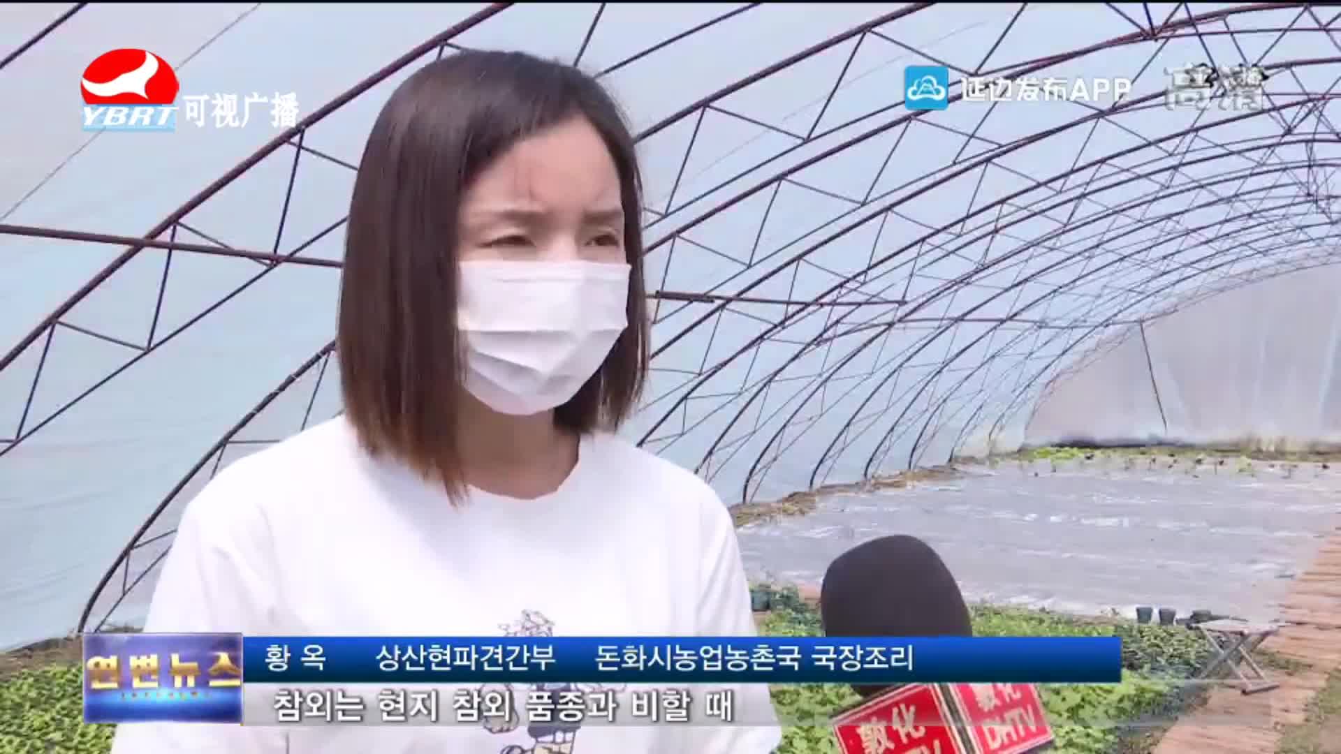 열린방송 라지오시대 2020-05-29