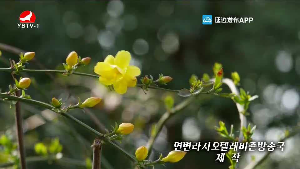 우리 사는 세상 2020-05-06