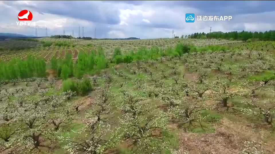 우리네 동산 2020-05-29