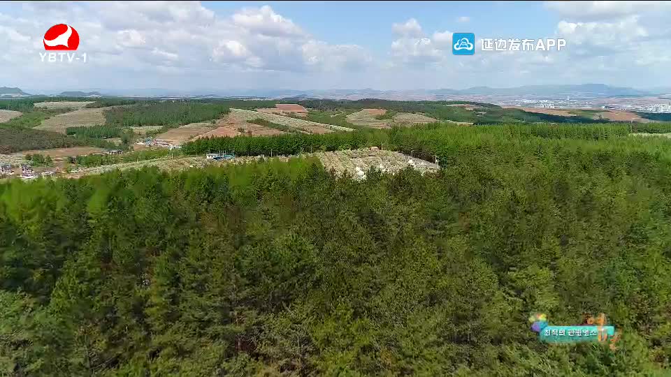 최적의 관광명소 연변 2020-05-28