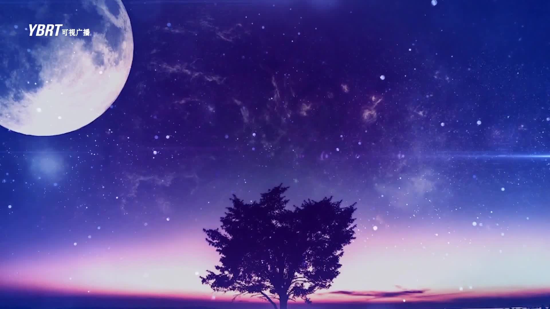 생방송,퇴근길 2020-06-05