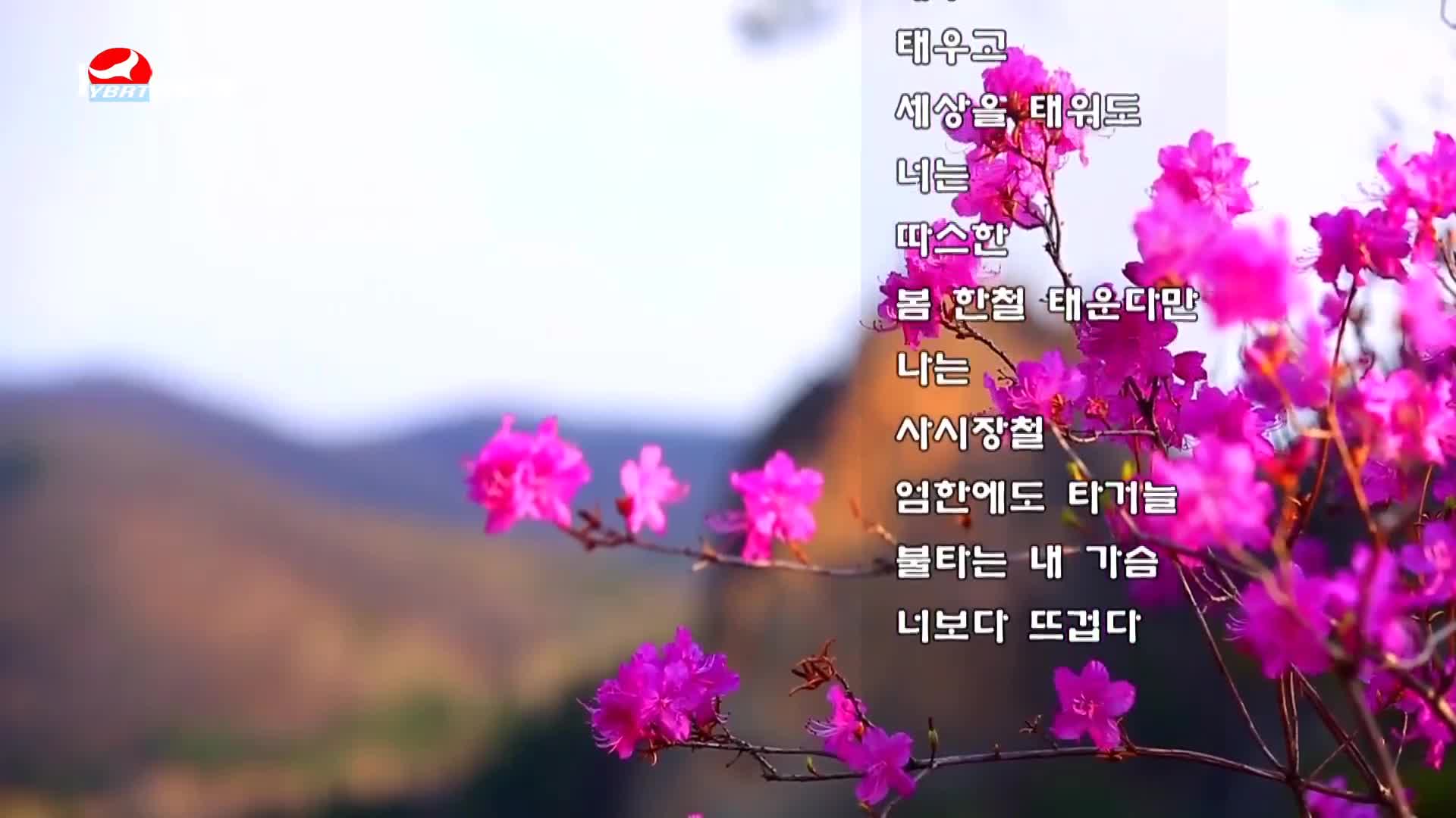 살롱토크쇼2020-06-19