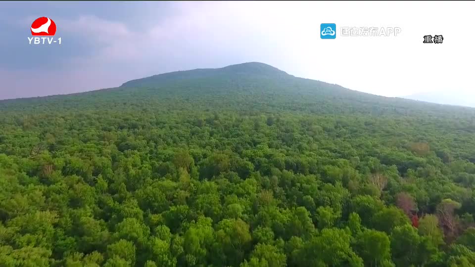 최적의 관광명소 연변 2020-06-25