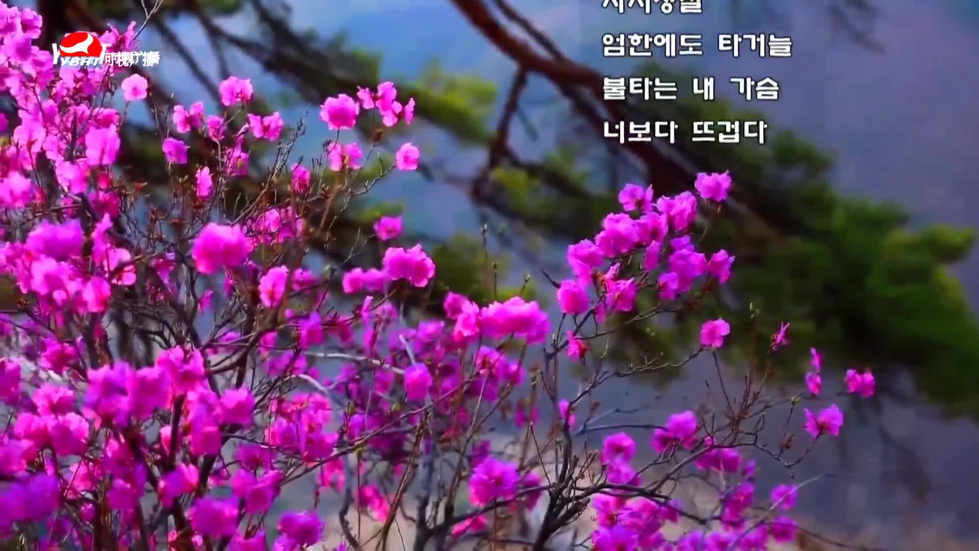살롱토크쇼2020-06-10