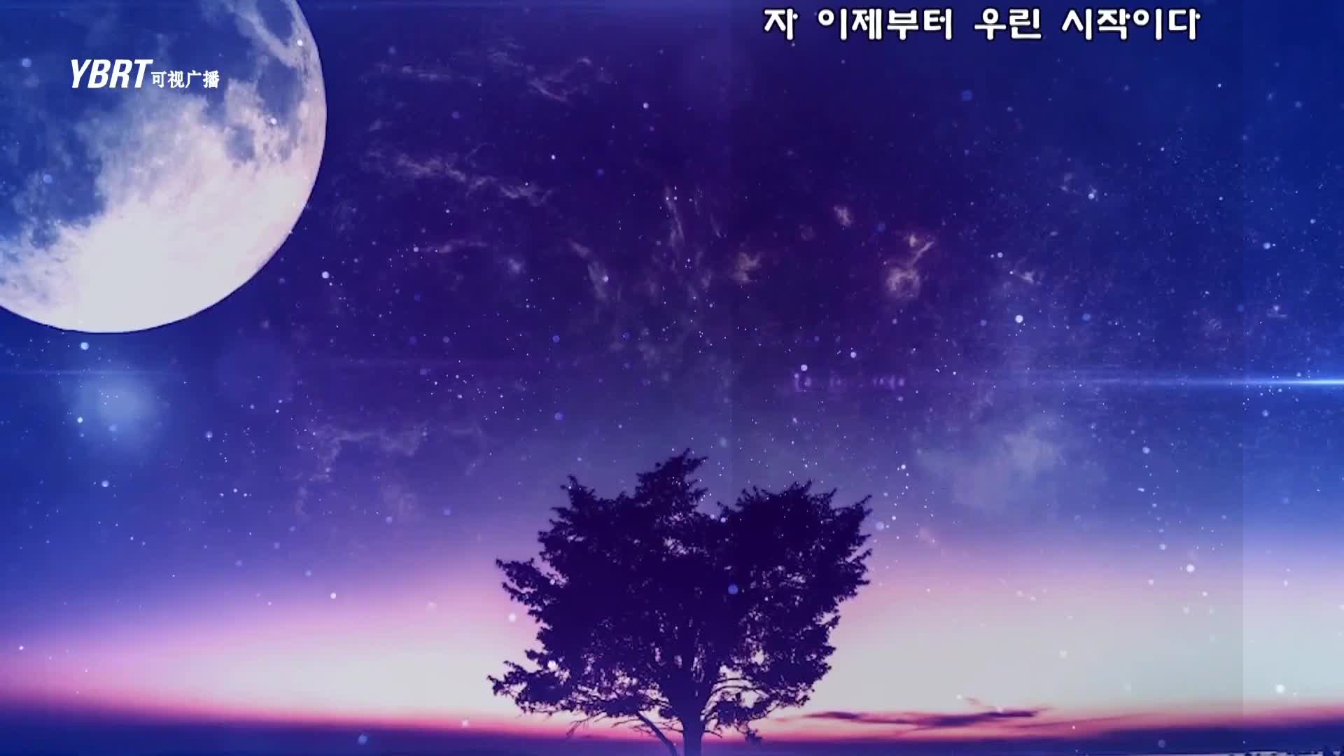 생방송,퇴근길 2020-06-15