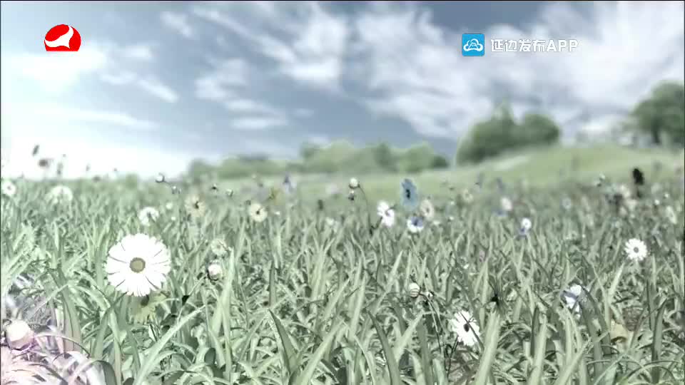 사랑으로 가는 길 2020-06-27