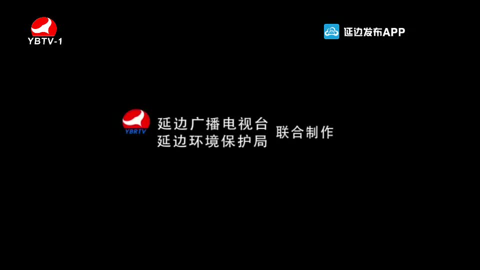 TV문화를 품다 2020-07-03