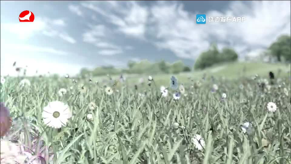 사랑으로 가는 길 2020-07-25