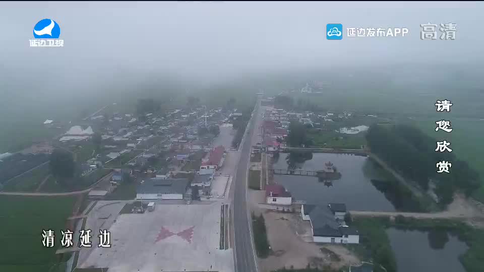 국내외 뉴스 2020-08-09