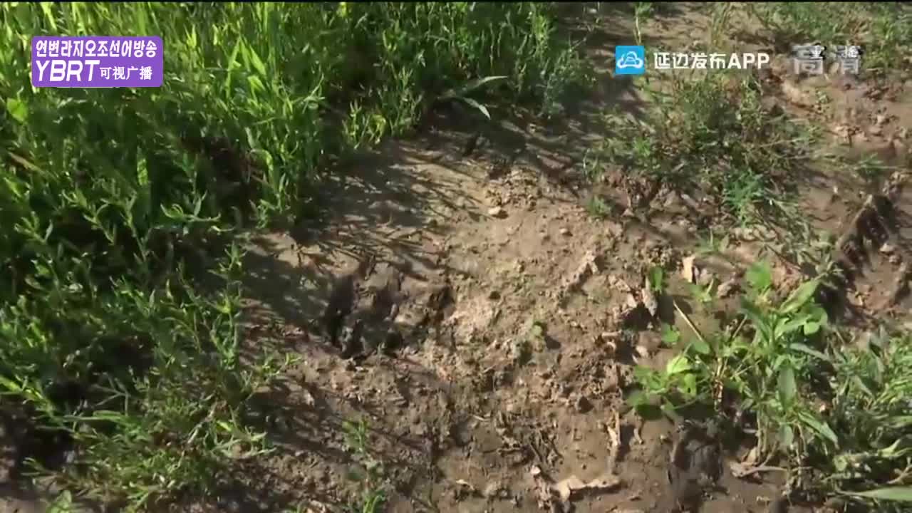 열린방송 라지오시대 2020-08-06