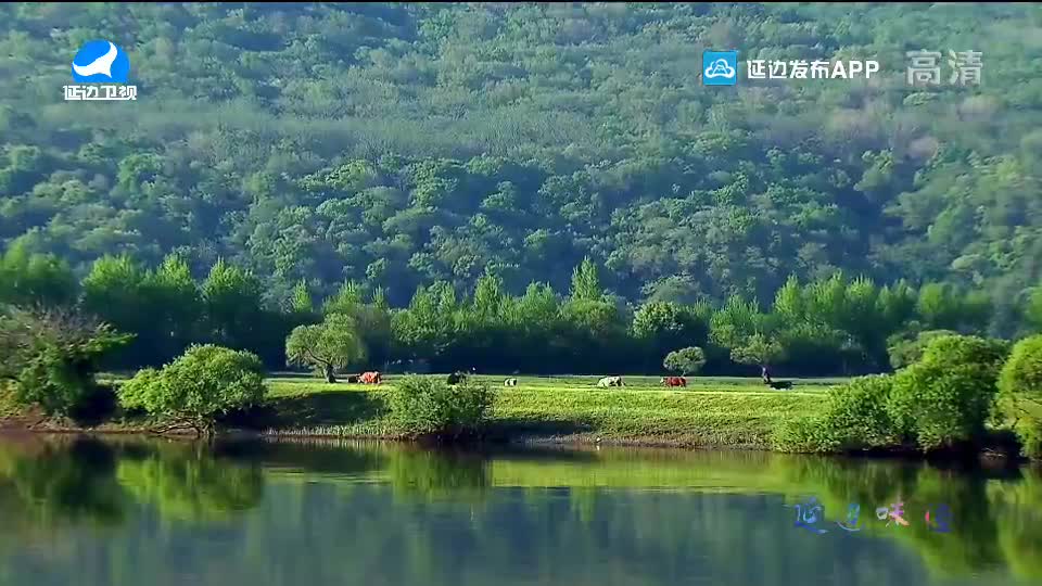 국내외 뉴스 2020-08-27