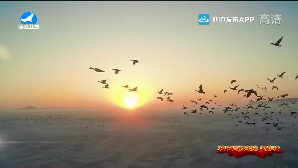 신주주말특간 2020-09-27
