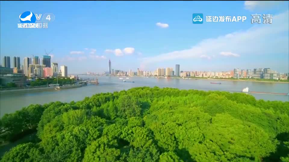 신주주말특간 2020-09-26
