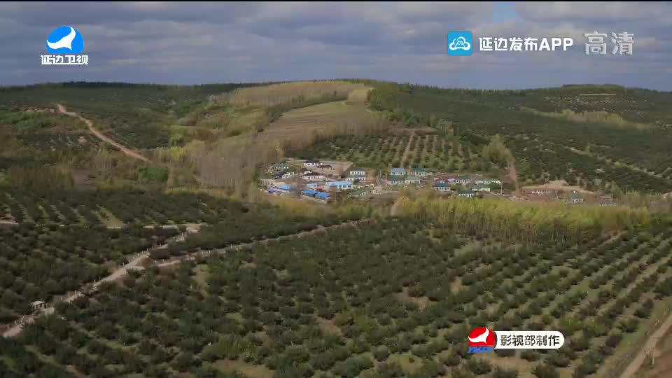 국내외 뉴스 2020-09-17