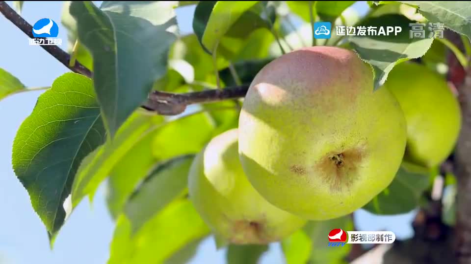 국내외 뉴스 2020-09-23