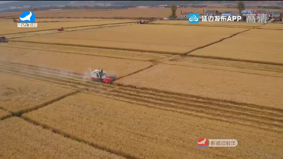 국내외 뉴스 2020-09-20
