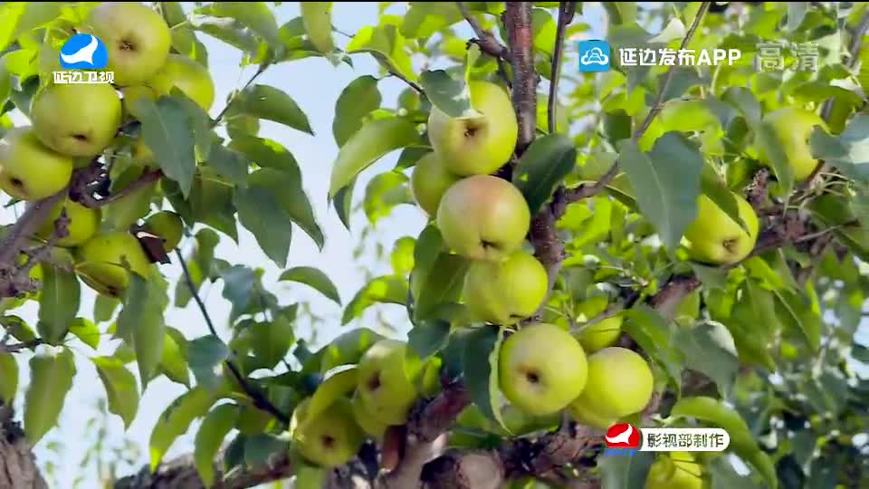 국내외 뉴스 2020-09-25