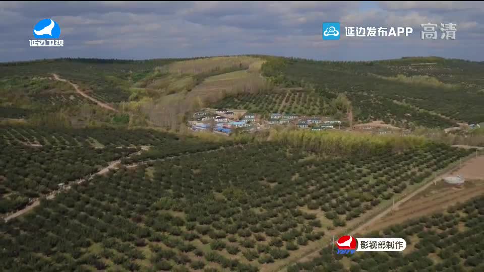 국내외 뉴스 2020-10-06