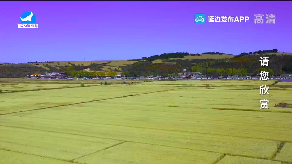국내외 뉴스 2020-10-30