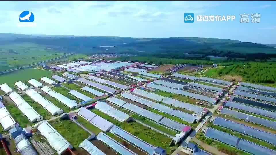 국내외 뉴스 2020-10-15