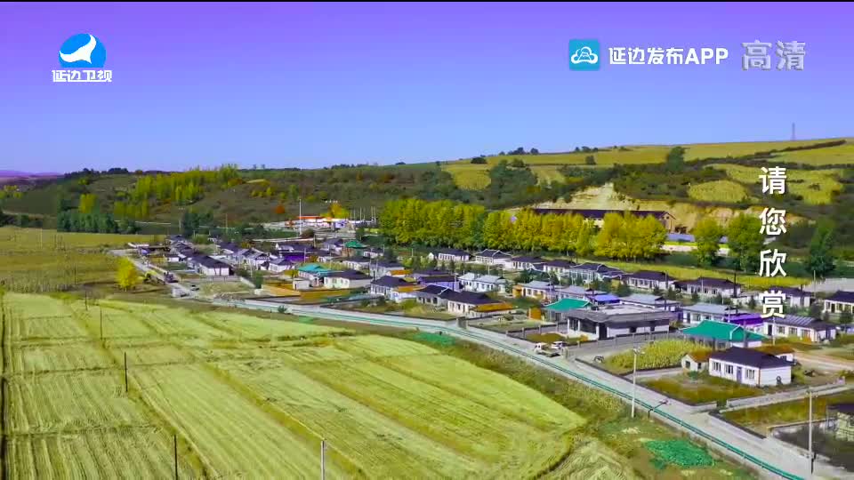 국내외 뉴스 2020-10-29