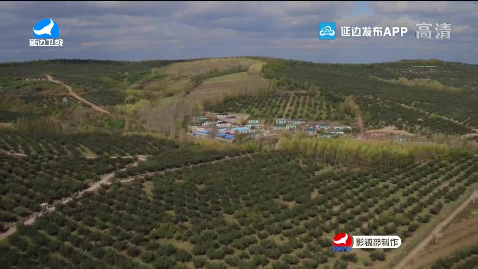 국내외 뉴스 2020-10-03