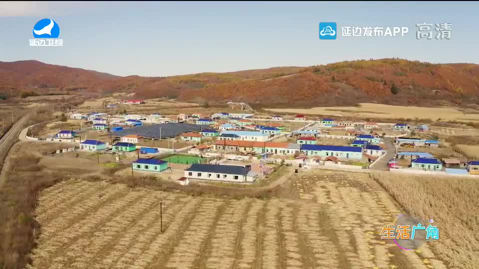 [우리 사는 세상]가을이 물들인 풍요로운 영신촌