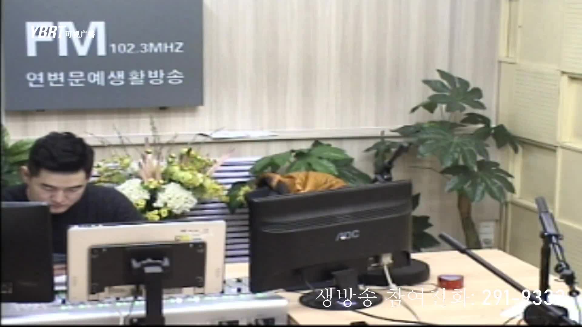 출발, 라지오속으로 2020-11-13