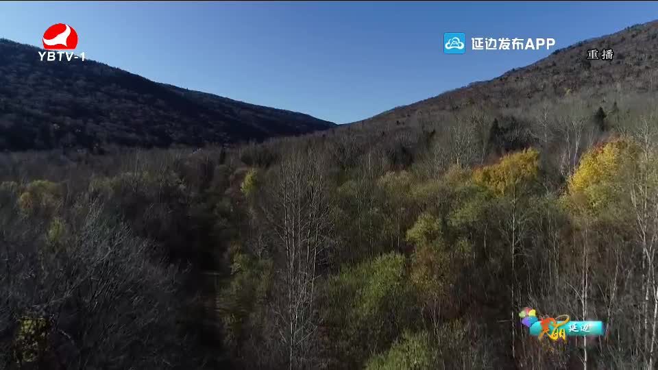 최적의 관광명소 연변 2020-12-24
