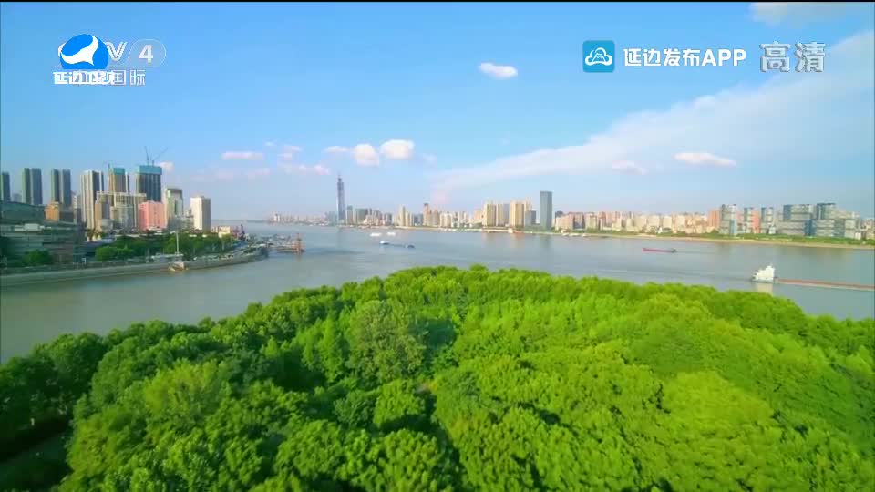 신주주말특간 2021-05-02