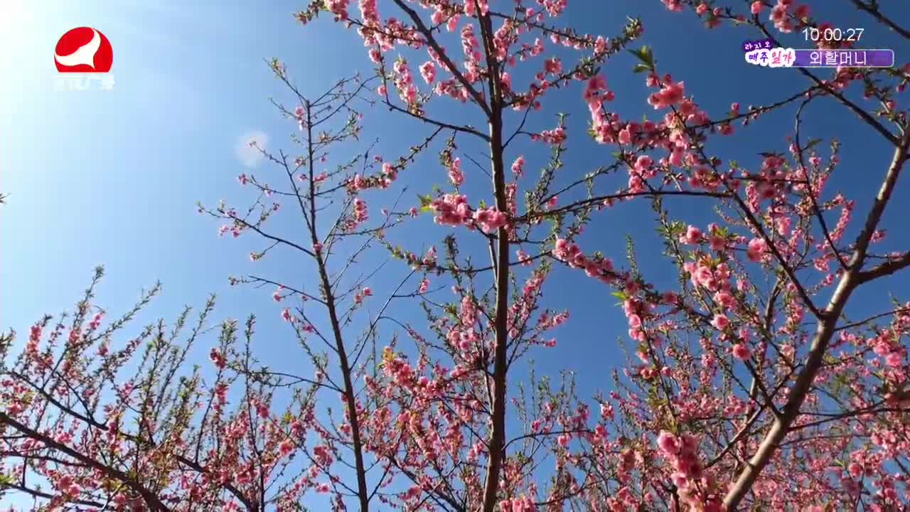 려행가이드2021-10-04