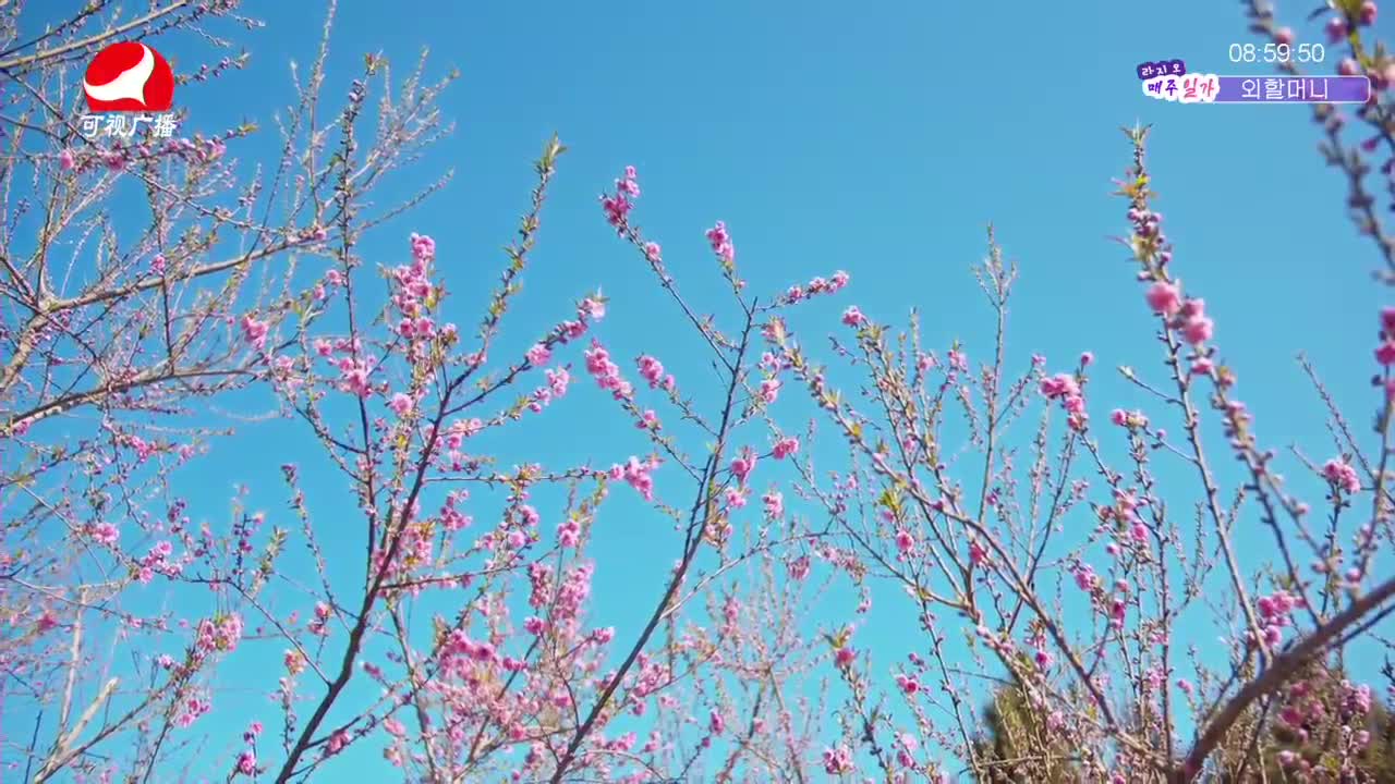 살롱토크쇼2021-10-08