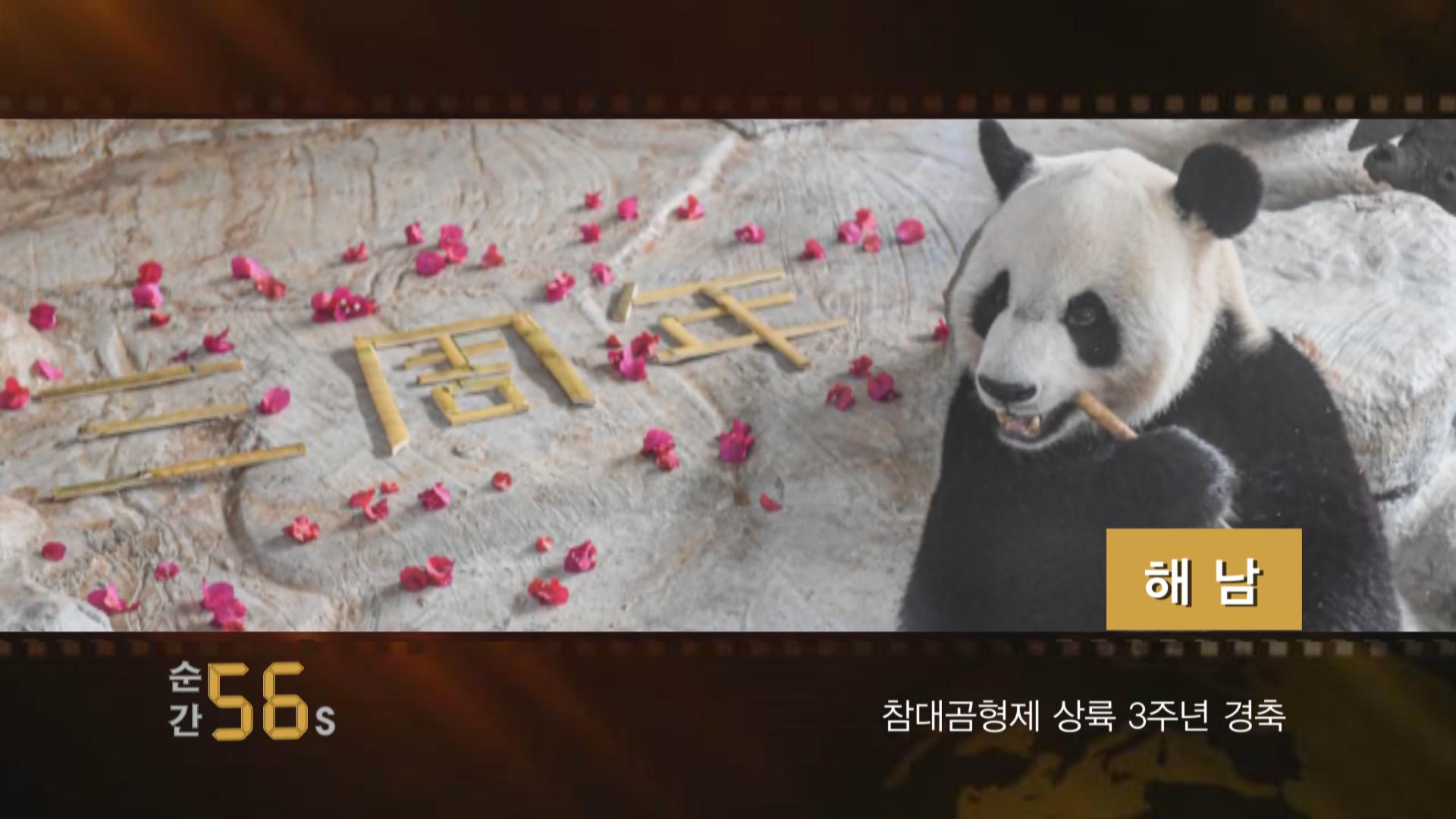 순간 60S-해남 참대곰형제 상륙 3주년 경축
