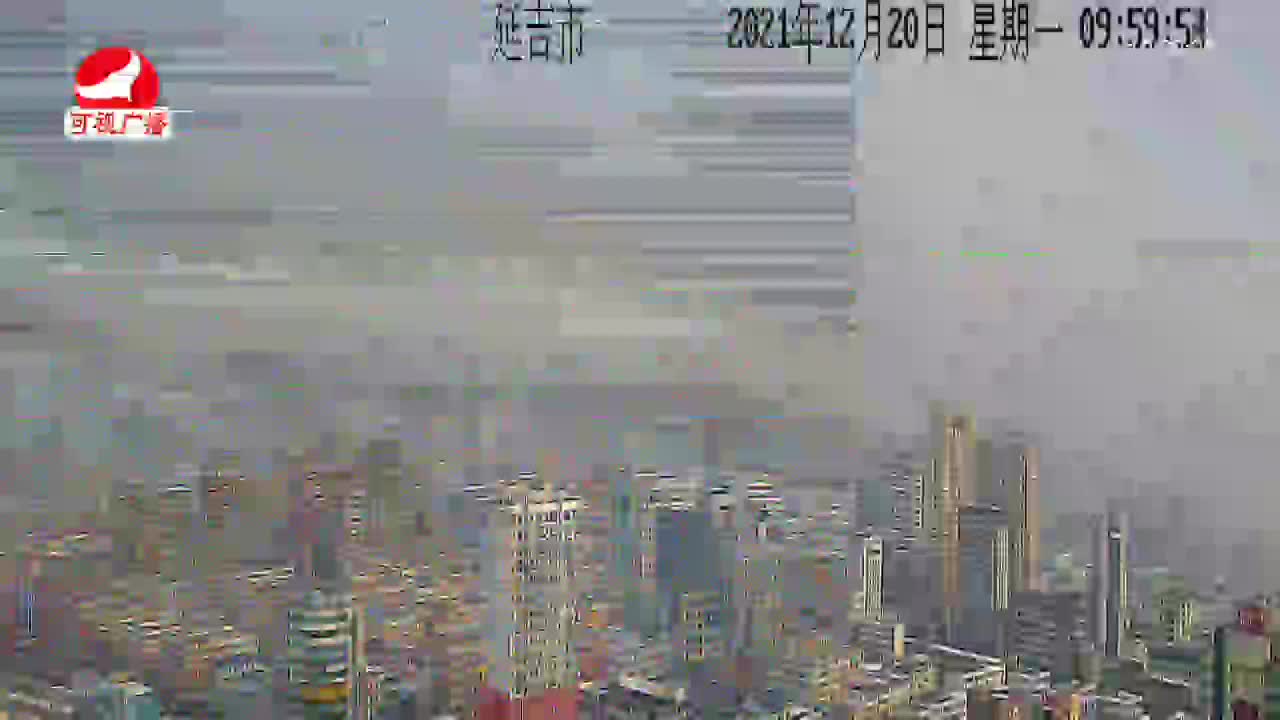 려행가이드 2021-12-20