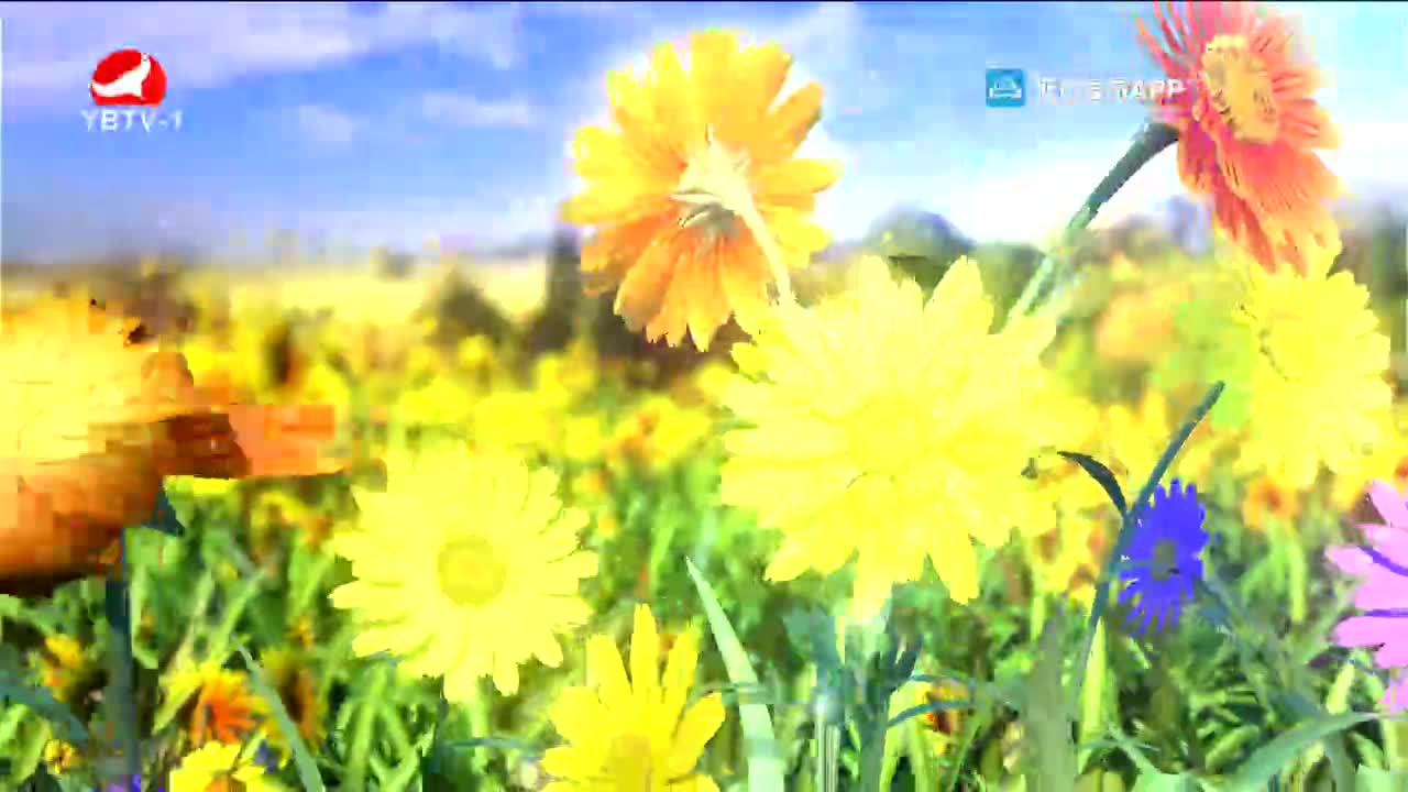 사랑으로 가는 길 2021-12-25