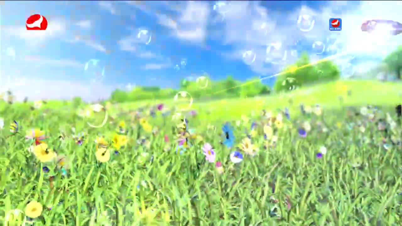 사랑으로 가는 길 2022-07-30