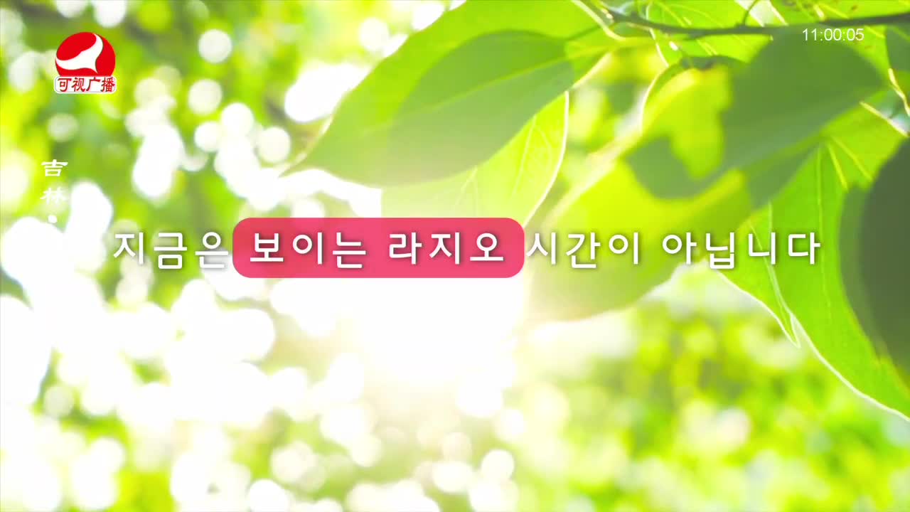연변가요데이트 2022-09-12