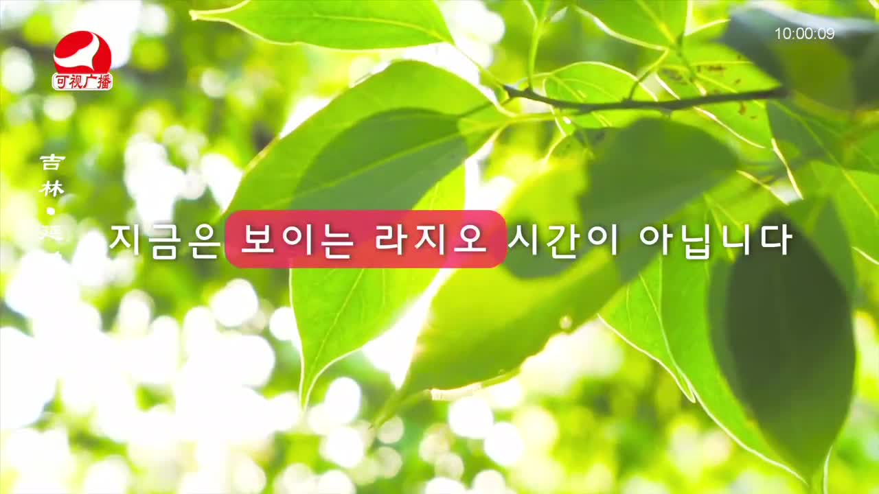 려행가이드 2022-09-12