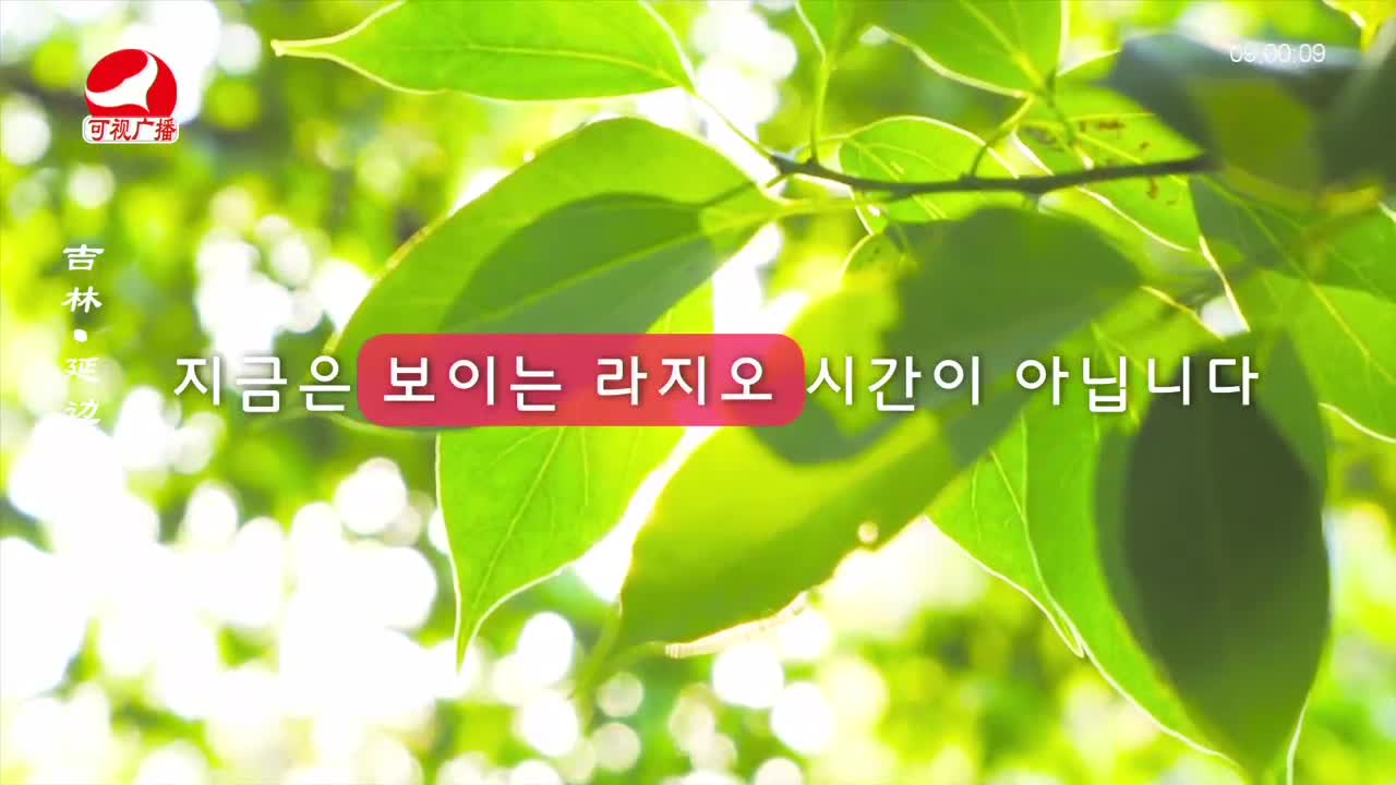 살롱토크쇼 2022-09-12