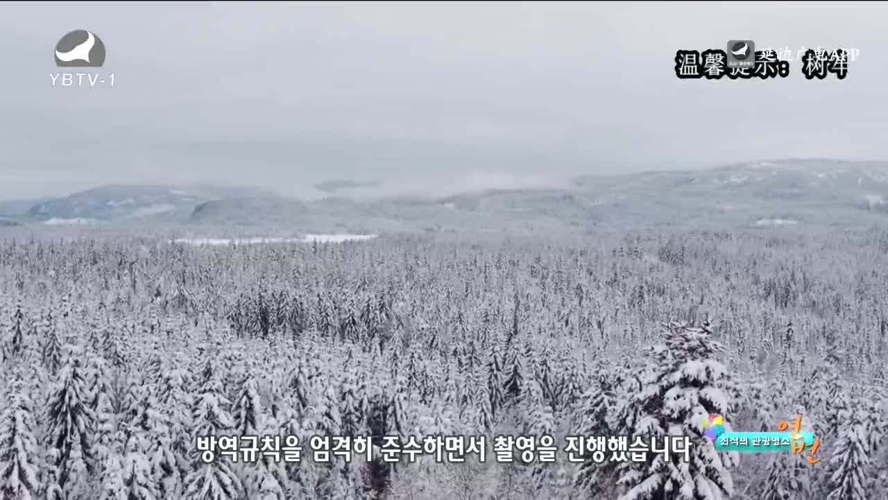 최적의 관광명소 연변 2022-12-01