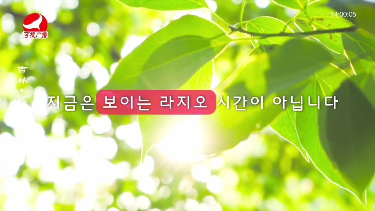 우리가락 2023-08-08