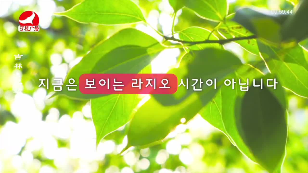 려행가이드 2023-11-06